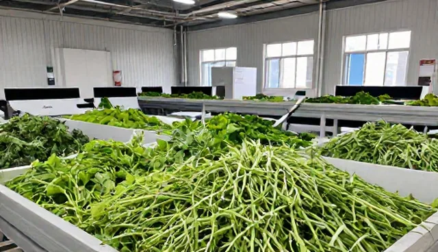农产品加工中仓储保鲜技术的应用场景分析